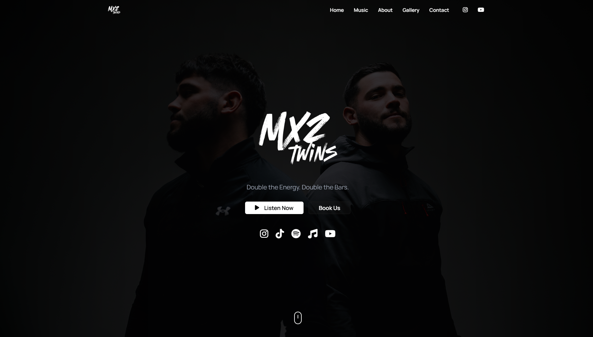 Musician Portfolio preview